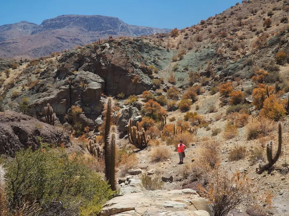 Is The Rio Hurtado Valley Chile's Best Kept Secret?