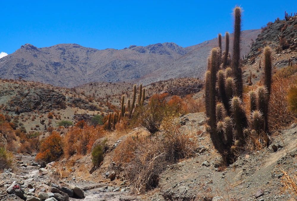 Is The Rio Hurtado Valley Chile’s Best Kept Secret?