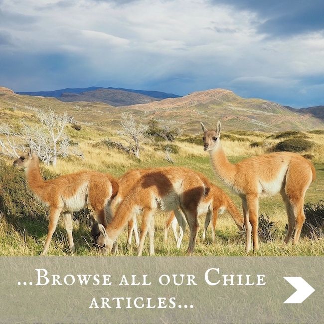 CHILE - home page