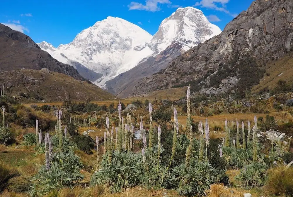 Laguna 69 – Northern Peru’s Unmissable Day Hike