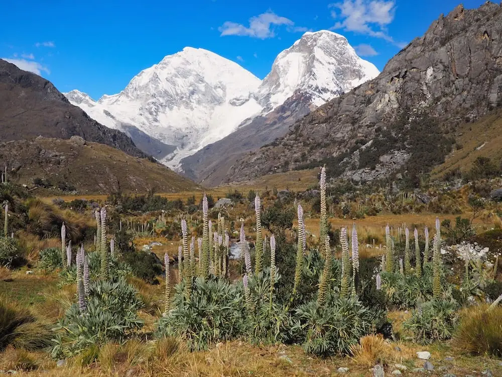 Laguna 69 trek Cordellira Blanca Peru.. 1