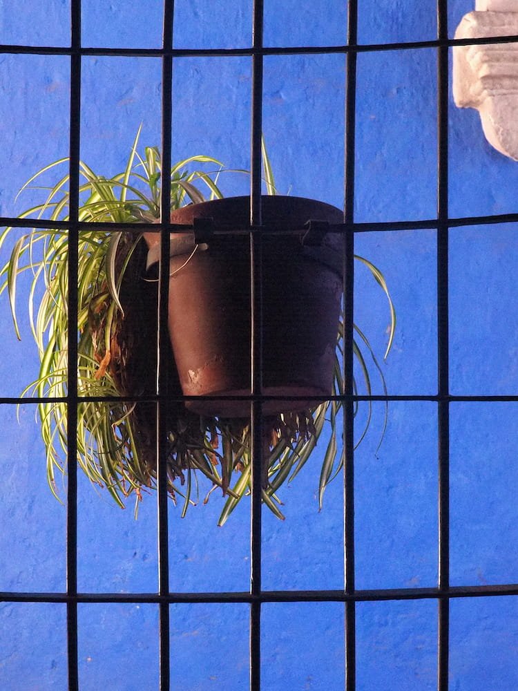 A hanging basket in front of a blue wall