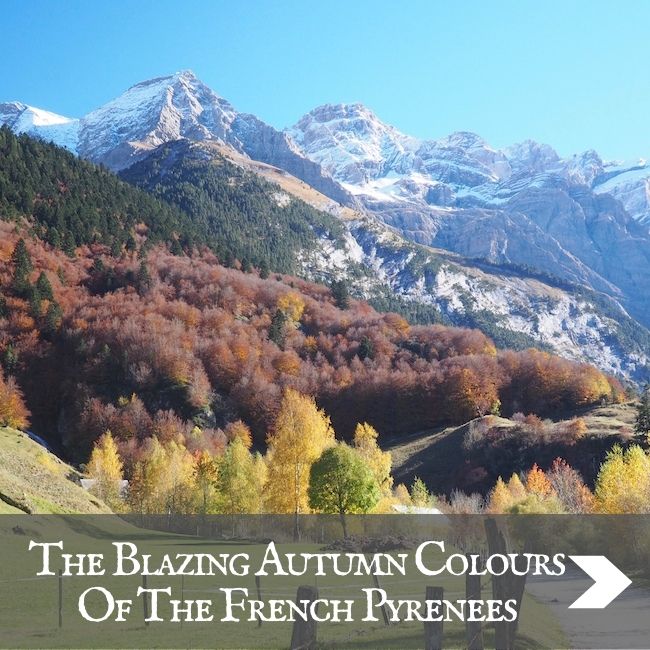 FRANCE - Pyrenees
