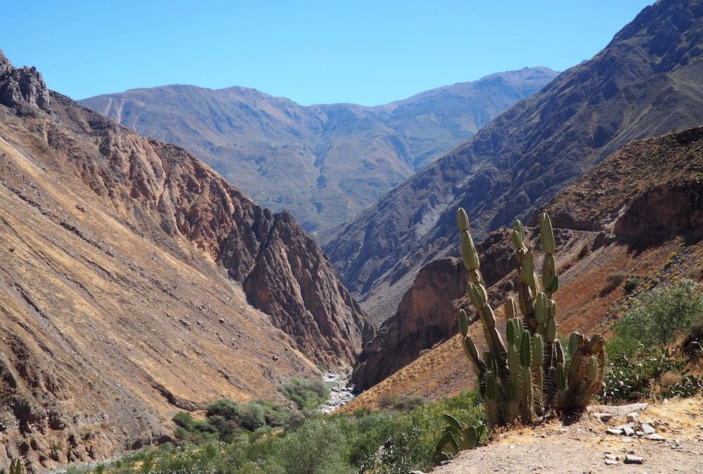 A Three Day Guide To The Astonishing Colca Canyon in Peru