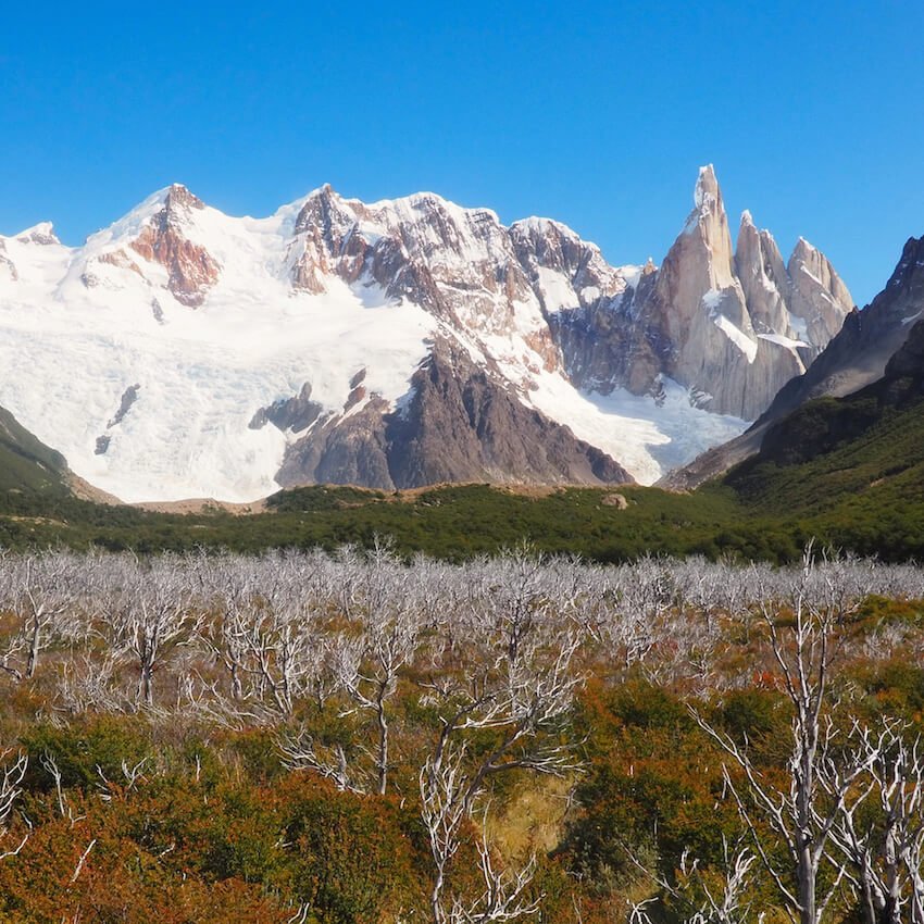South America, ian Forest, Patagonia Glaciers