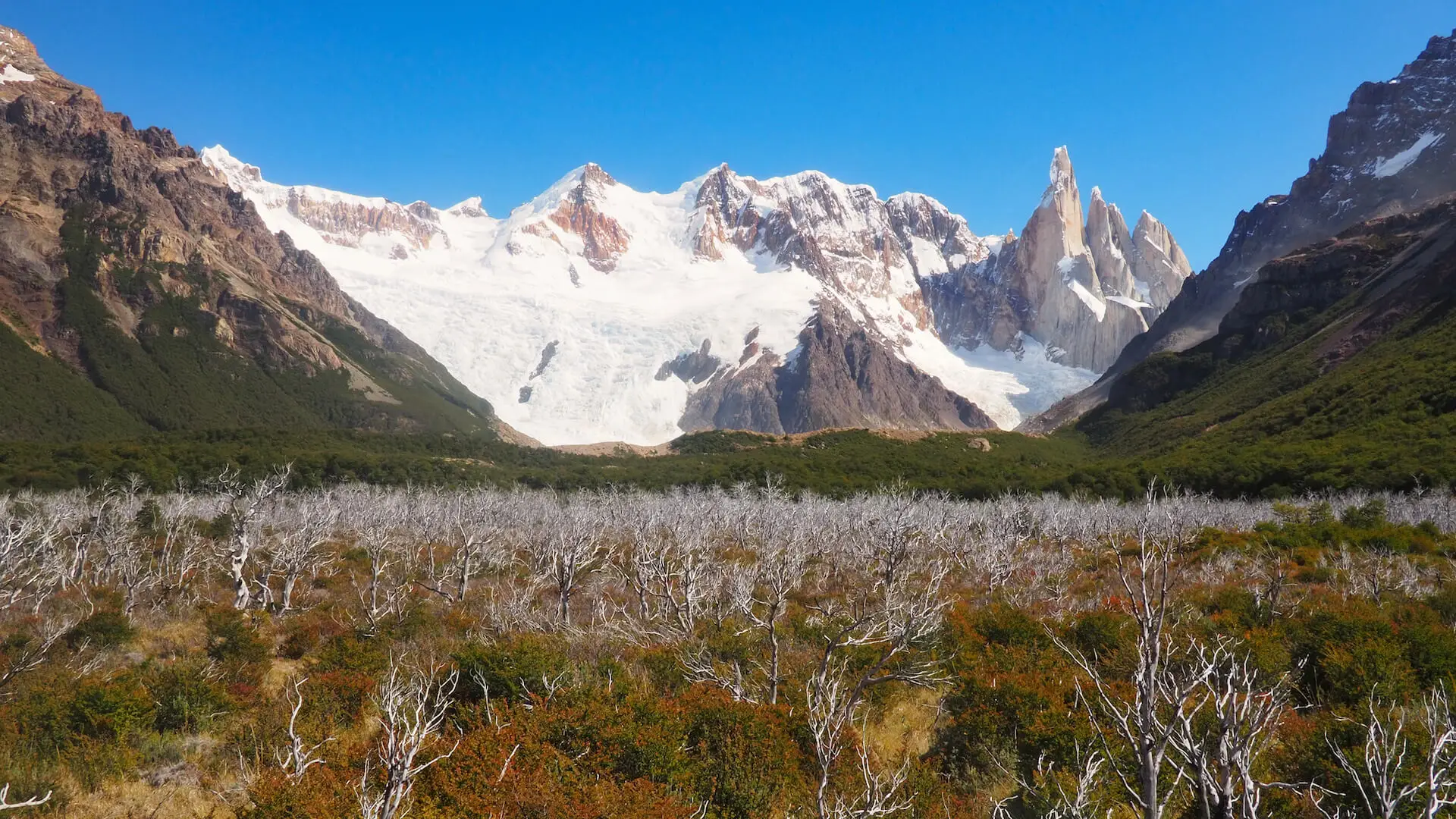  The trail passes through thick low-level bush