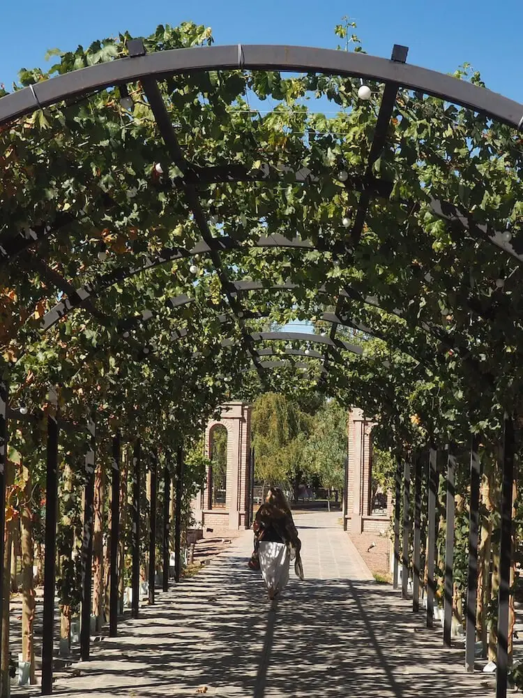 El Enemigo Vineyard