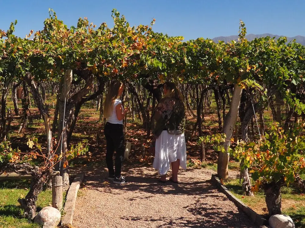 Nicky and the Kaiken tour guide chat under the shade of a vine