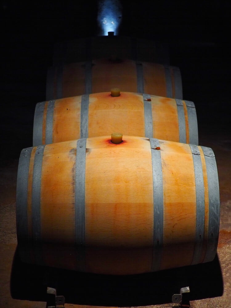 Barrels at Kaiken vineyard