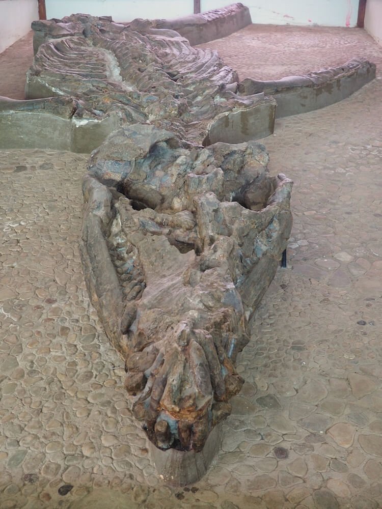 Museo el Fosil in Villa de Leyva
