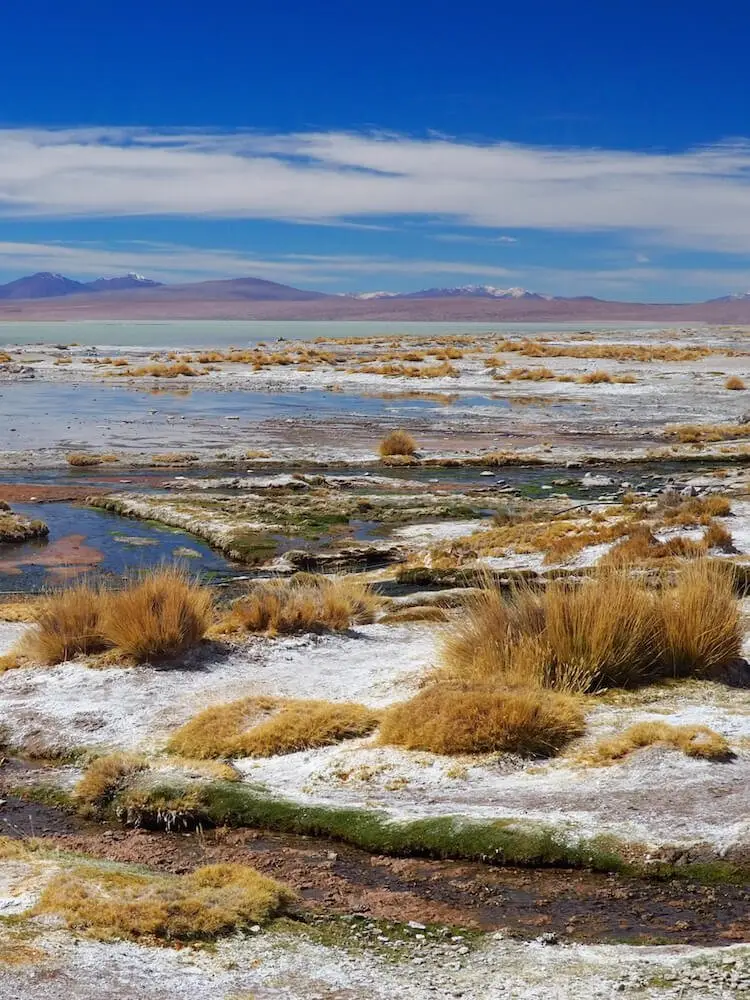 Salar de Chalviri