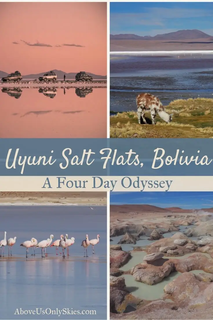 The amazing Uyuni Salt Flats in Bolivia should be high on anyone's South America wishlist - including the journey there on a four-day jeep tour from Tupiza #bolivia #saltflats #uyuni #flamingo #southamerica #southamericatravel #southamericatravelphotos #backpacking #backpackingtips #roadtrip #desert #desierto #dali #travelinspiration
