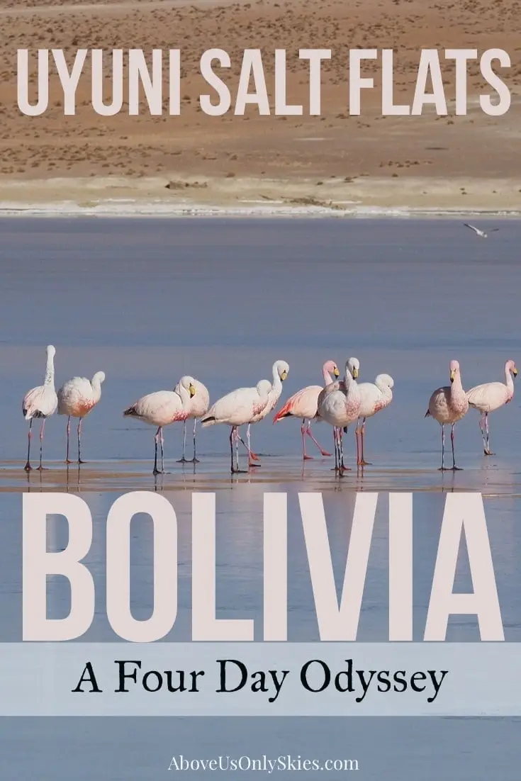 The amazing Uyuni Salt Flats in Bolivia should be high on anyone's South America wishlist - including the journey there on a four-day jeep tour from Tupiza #bolivia #saltflats #uyuni #flamingo #southamerica #southamericatravel #southamericatravelphotos #backpacking #backpackingtips #roadtrip #desert #desierto #dali #travelinspiration