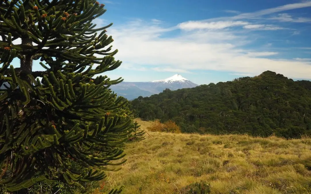 6 Of The Best Day Hikes In Chile