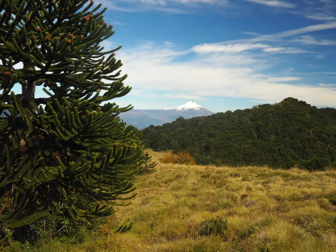 Best Day Hikes In Chile – San Sebastian Trail. Best Day Hikes In Chile San Sebastian Trail.