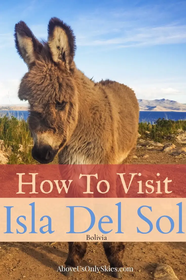 Isla del Sol is a gorgeous high altitude island on the Bolivian side of Lake Titicaca that's well established on the Gringo Trail - here's what to expect when you get there #isladelsol #copacabana #boliviatravel #visitbolivia #shaman #inca #backpacksouthamerica Above Us Only Skies