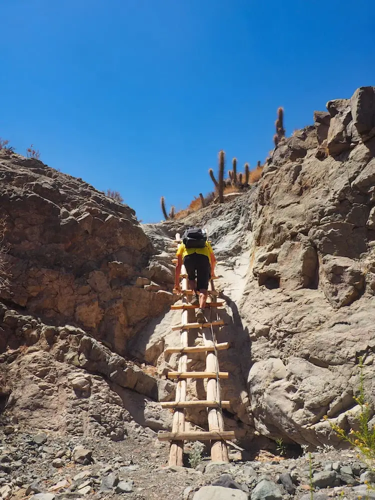 Ian climbs a ladder
