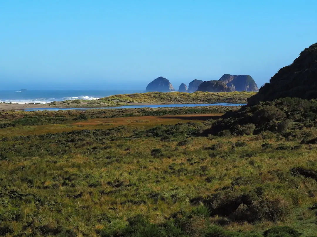 Wild and lush Chepu, Chiloe Island