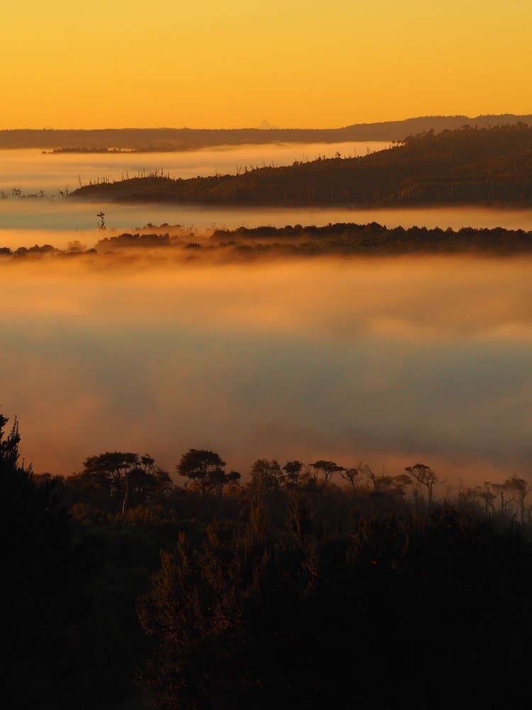 Morning mist over Chepu