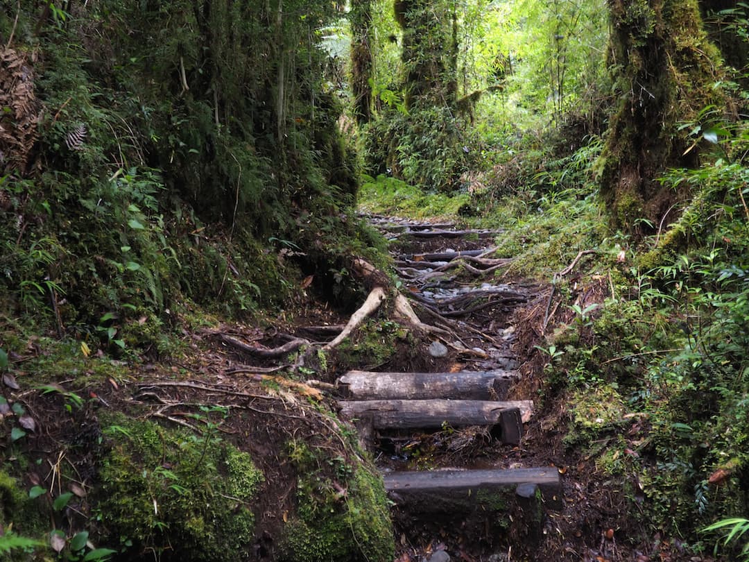 Cascadas de los Escondidas - woodland trail