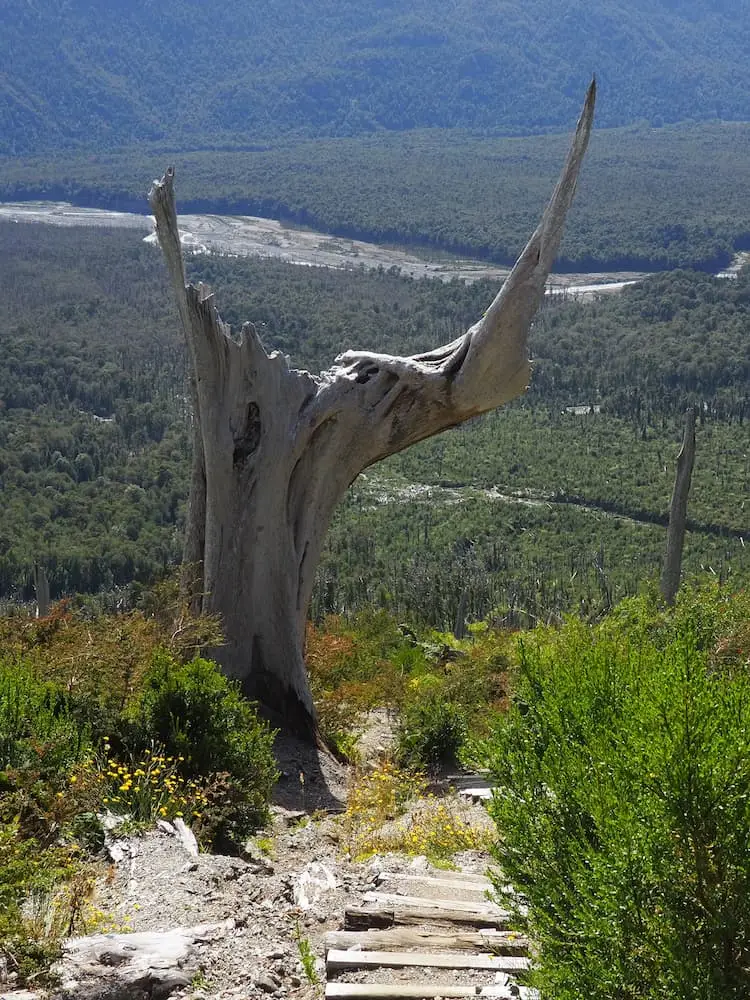 Volcan Chaiten Trail