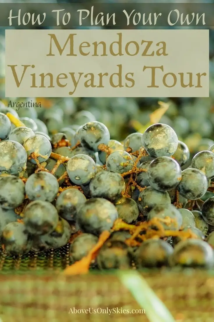 There are many companies offering tours to the Mendoza vineyards, but it's just as easy to organise your own at much less cost - here's how and where to go #malbec #mendoza #argentina #argentinatravel #winetours #winetasting #winetastingevents #winetastingexperience #argentinian #southamericatravel #renacer #vineyard #vineyards #travelaroundtheworld 