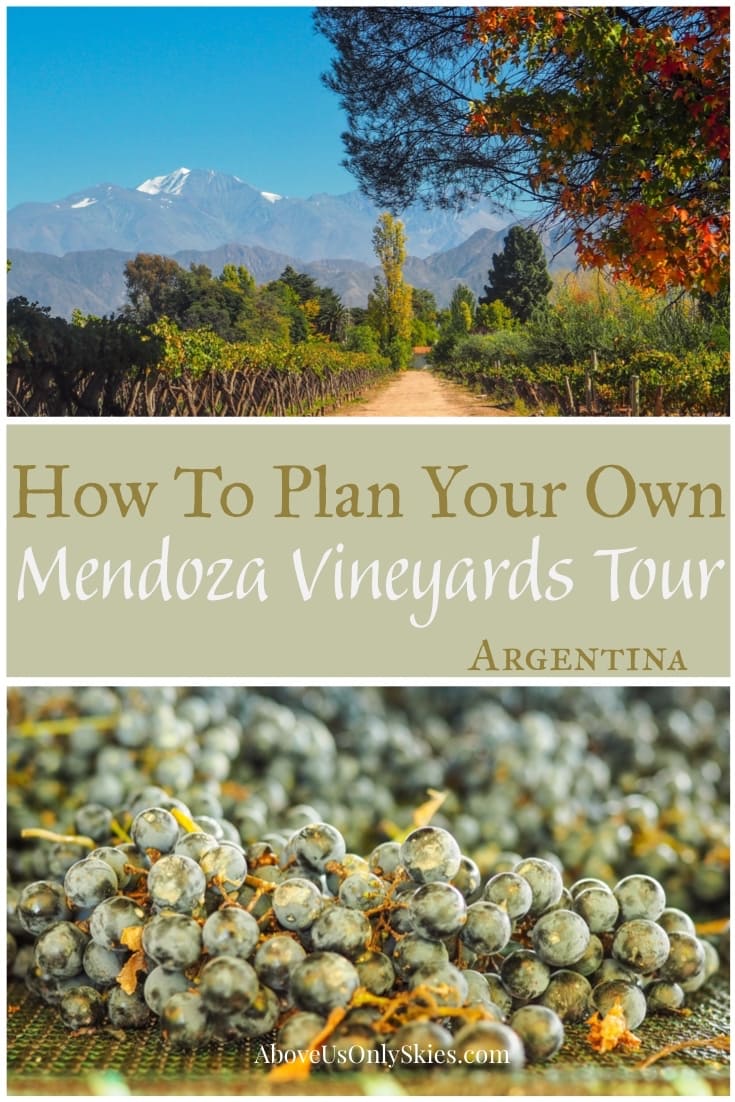There are many companies offering tours to the Mendoza vineyards, but it's just as easy to organise your own at much less cost - here's how and where to go #malbec #mendoza #argentina #argentinatravel #winetours #winetasting #winetastingevents #winetastingexperience #argentinian #southamericatravel #renacer #vineyard #vineyards #travelaroundtheworld 