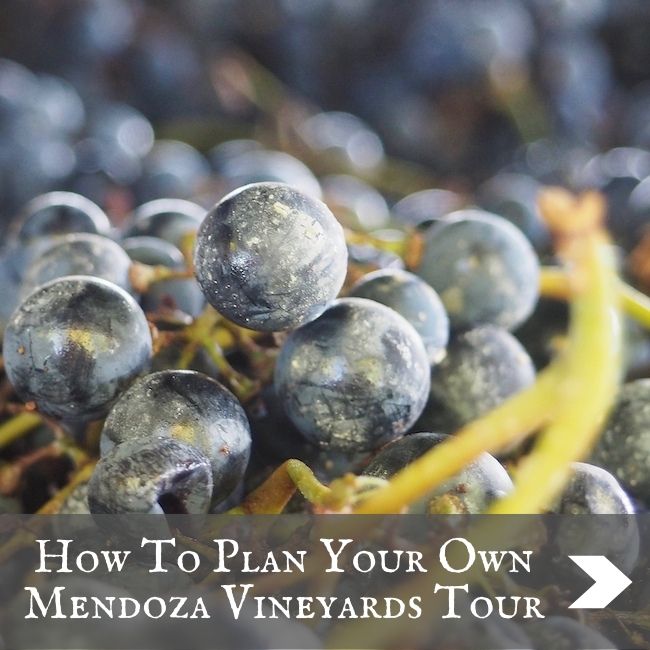 ARGENTINA - Mendoza wine tours