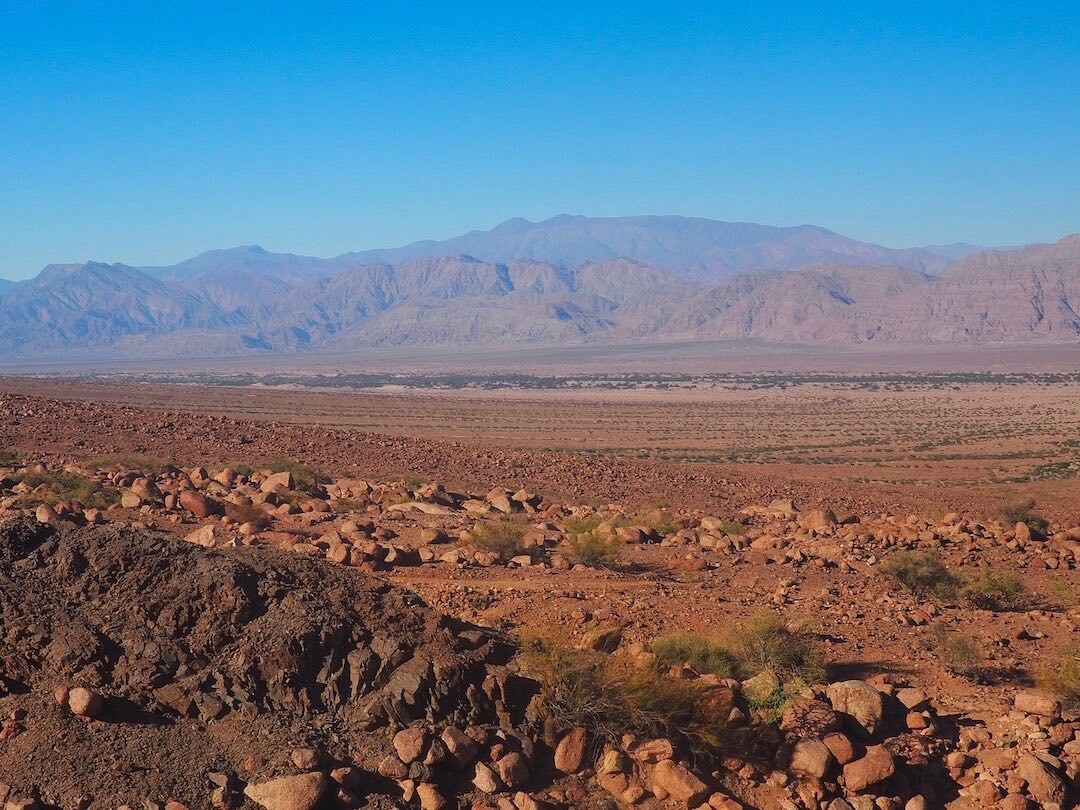 A large desert landscape with pink mountains in the background