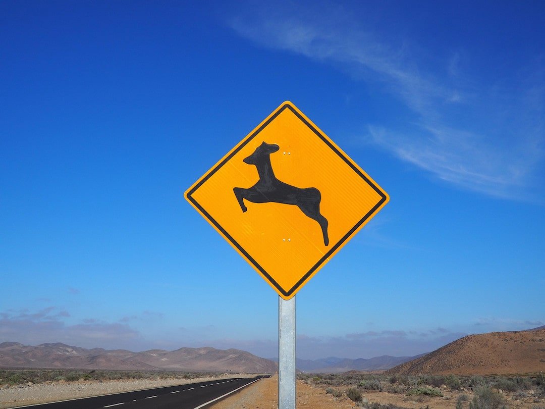 A yellow road sign with an image of a vicuna to warn drivers of wildlife crossing the road