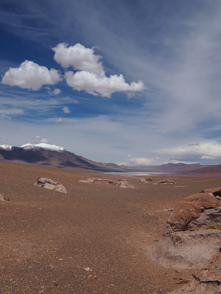 A desert landscape with a lake and mountains in the background