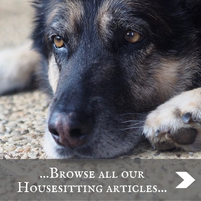 HOUSESITTING - home page