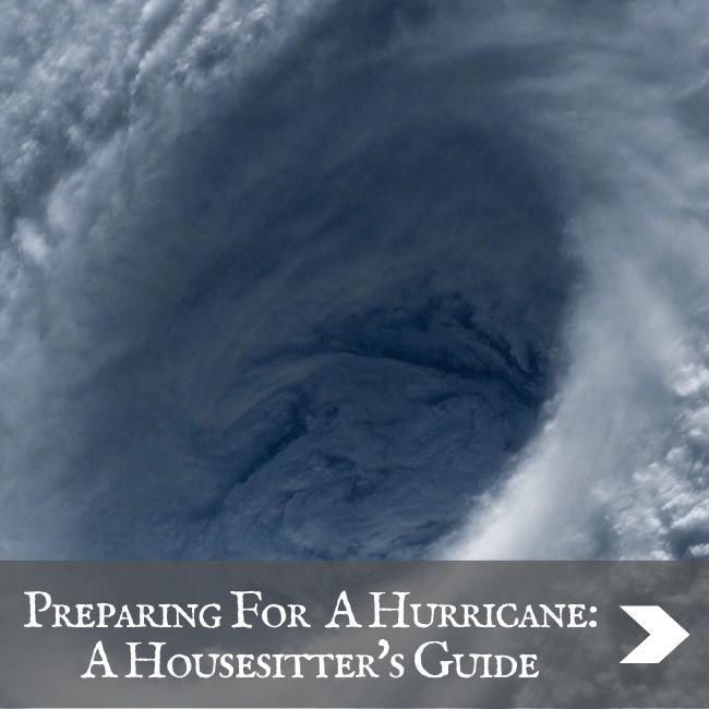 HOUSESITTING - Preparing For A Hurricane