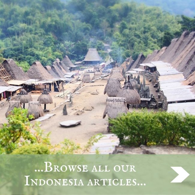 INDONESIA - home page
