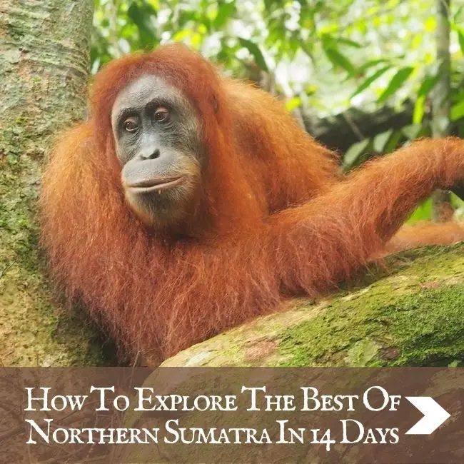 ITINERARIES - Sumatra