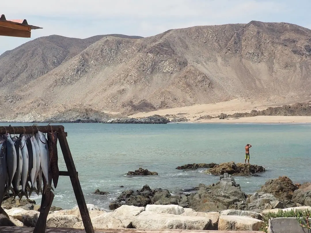 Pan de Azucar Chile