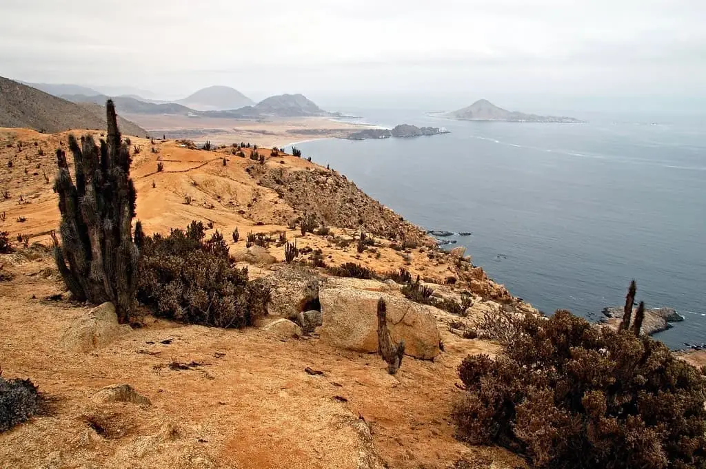 Elevated coastal view with cliffs and islands in the distance