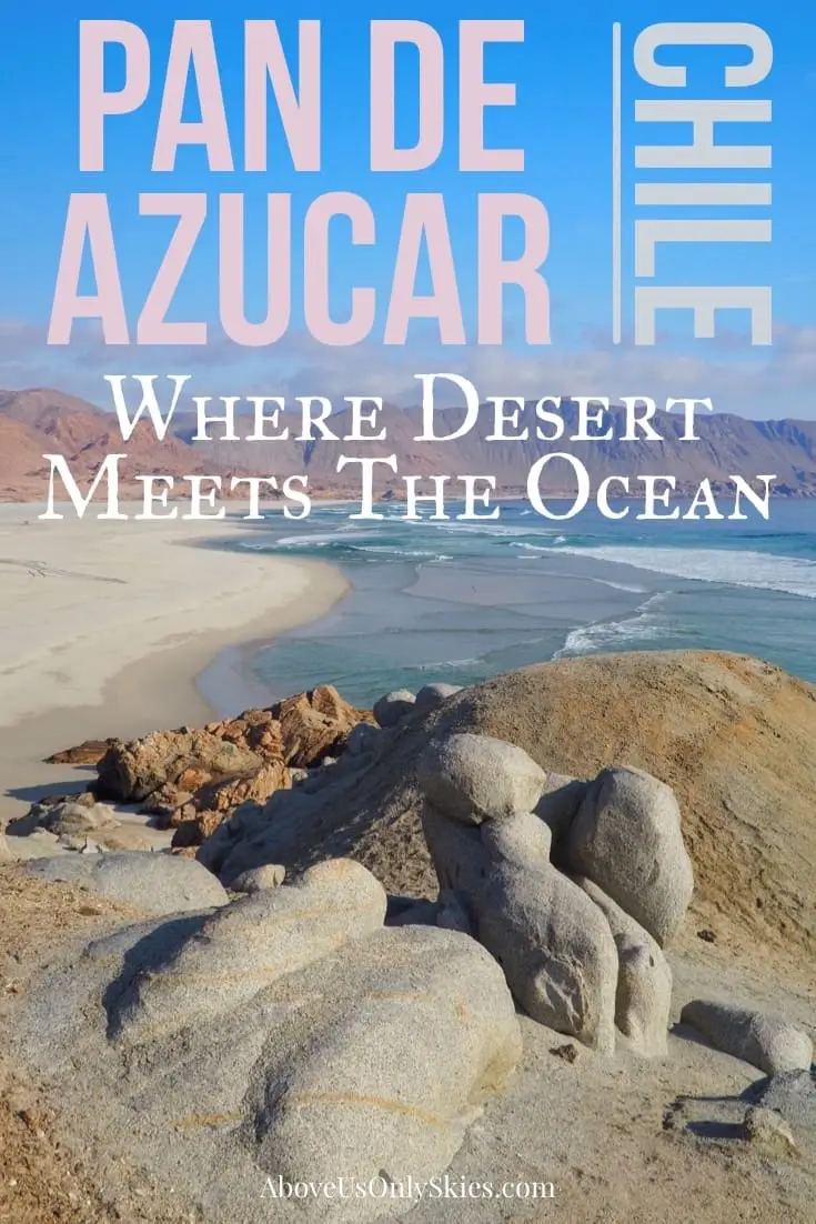 Pan de Azucar in Chile is a stunning coastal desert sandwiched between the Pan-American Highway and the Pacific Ocean - and home to 2000 Humboldt penguins #wildcamping #chiletravel #chile #campervan #camperlife #ioverland #overlander #boondocking #traveldestinations #exploremore #travelinspiration #budgettravel #southamerica #southamericatravel