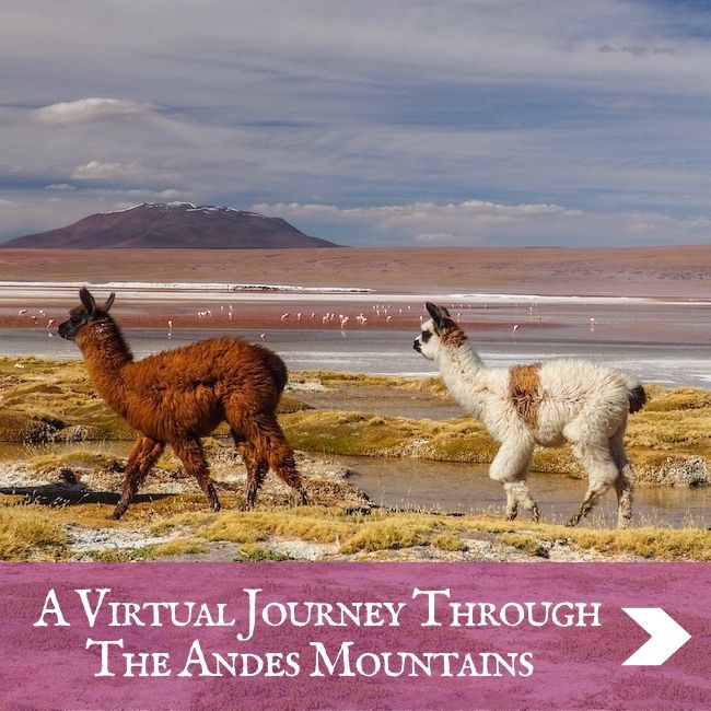 ITINERARIES - Andes Mountains
