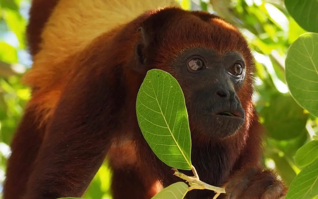 28 Stunning Wildlife Photos From Our Travels