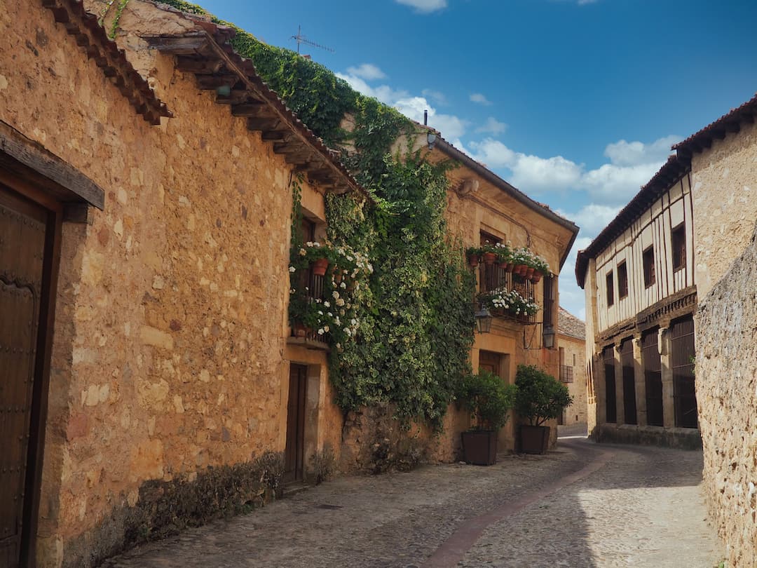 A medieval street with stone buildings covered in green foliage