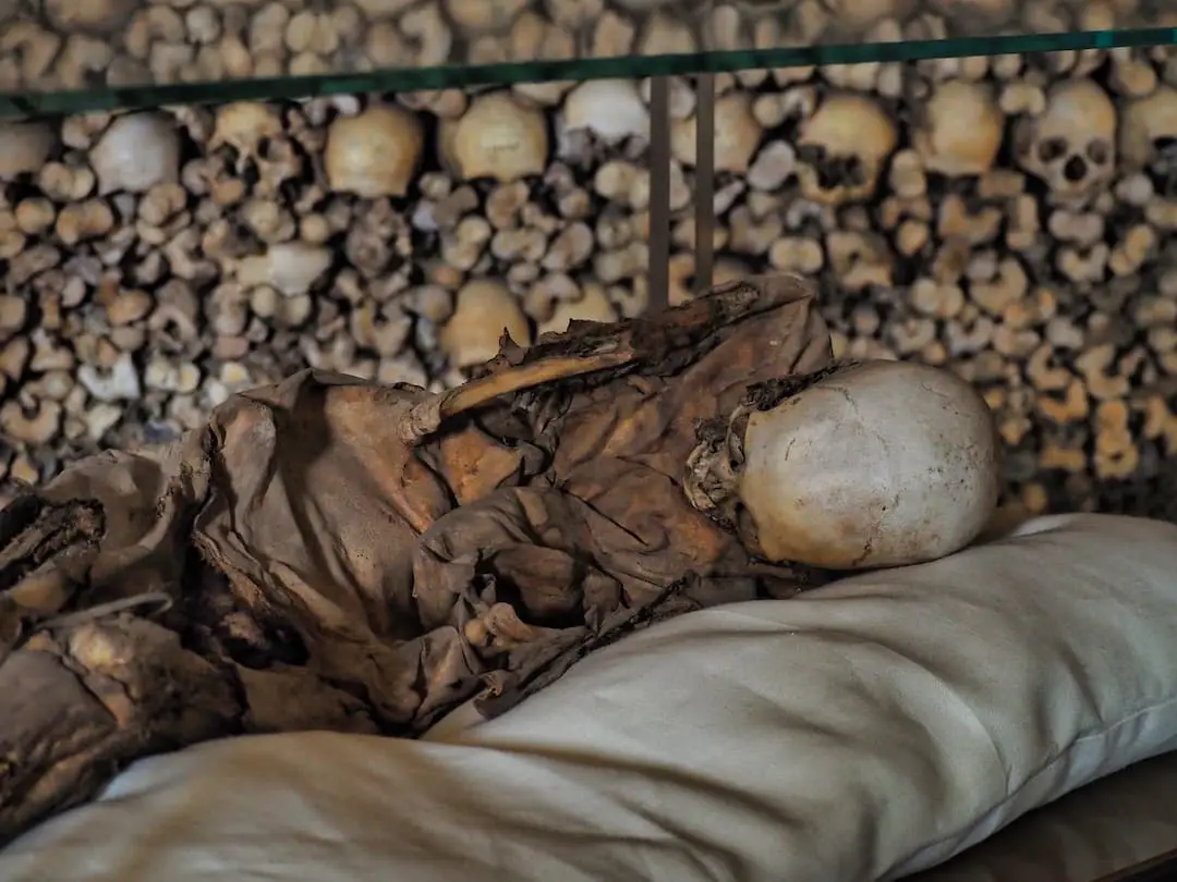 A human skeleton in a display cabinet in front of a wall of bones
