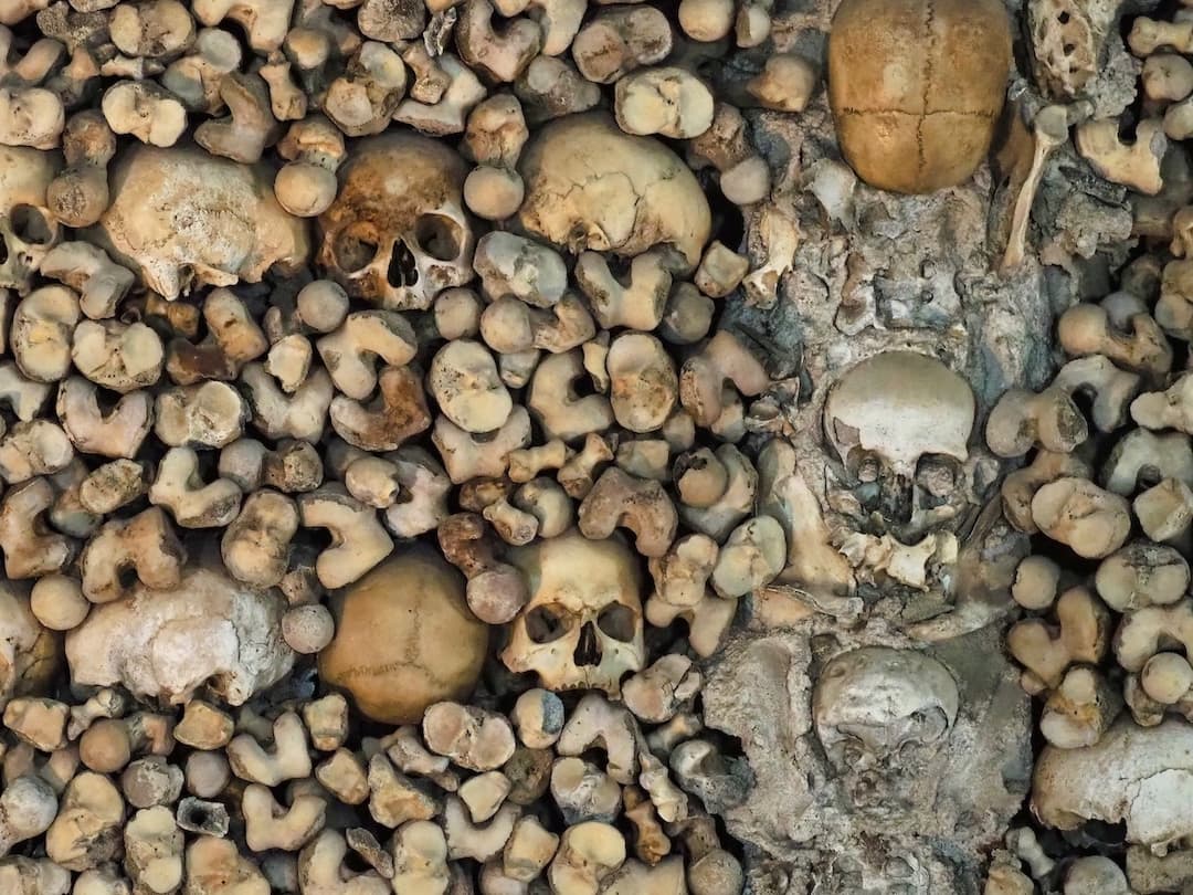A close-up shot of human bones embedded in a wall