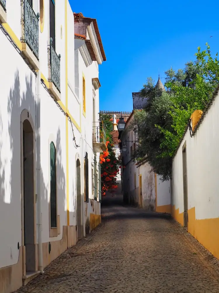 A narrow cobbled street