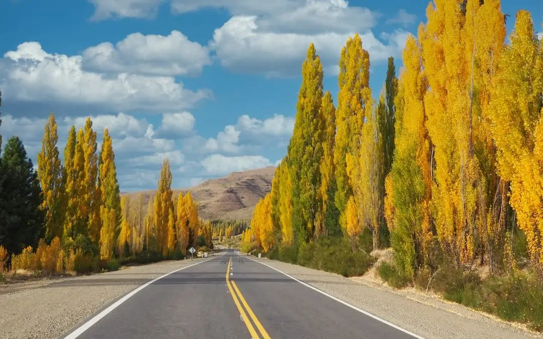 Exploring A Yellow World In Photographs