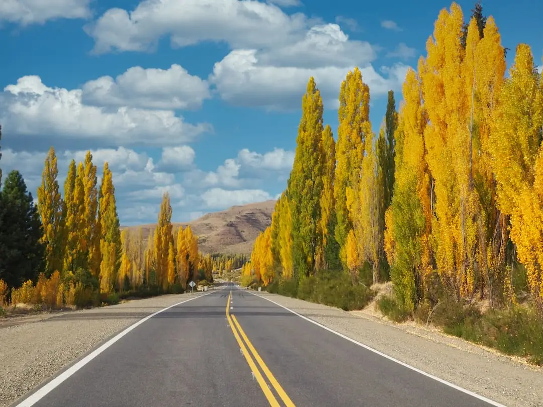Autumn colours near to Bariloche Argentina