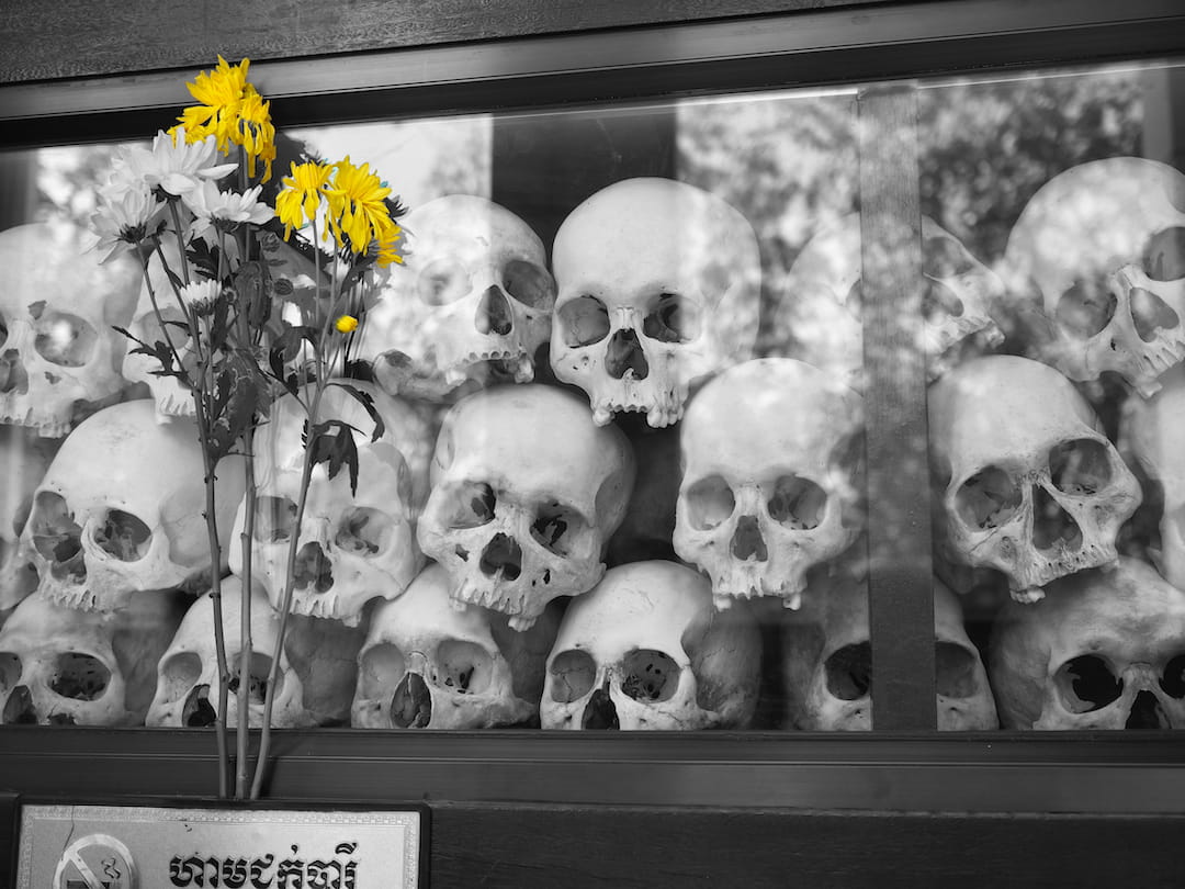 2 yellow flowers standing in front of a display box containing human skulls