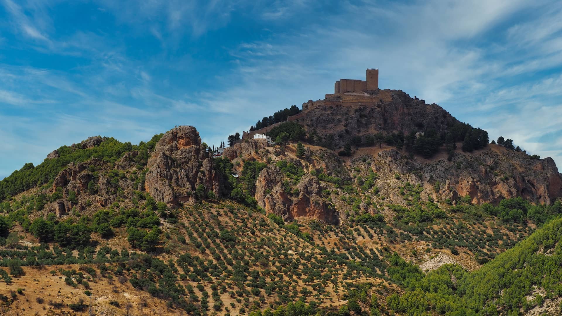 A castle sits atop a hillside, overlooking olive groves