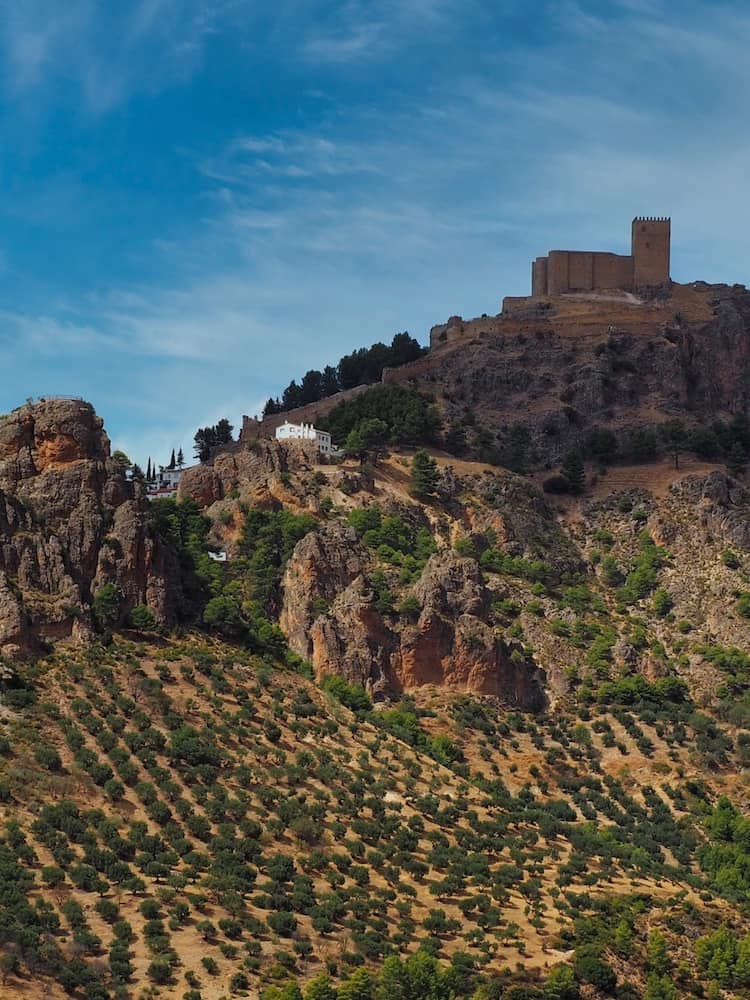 A castle sits atop a hillside, overlooking olive groves