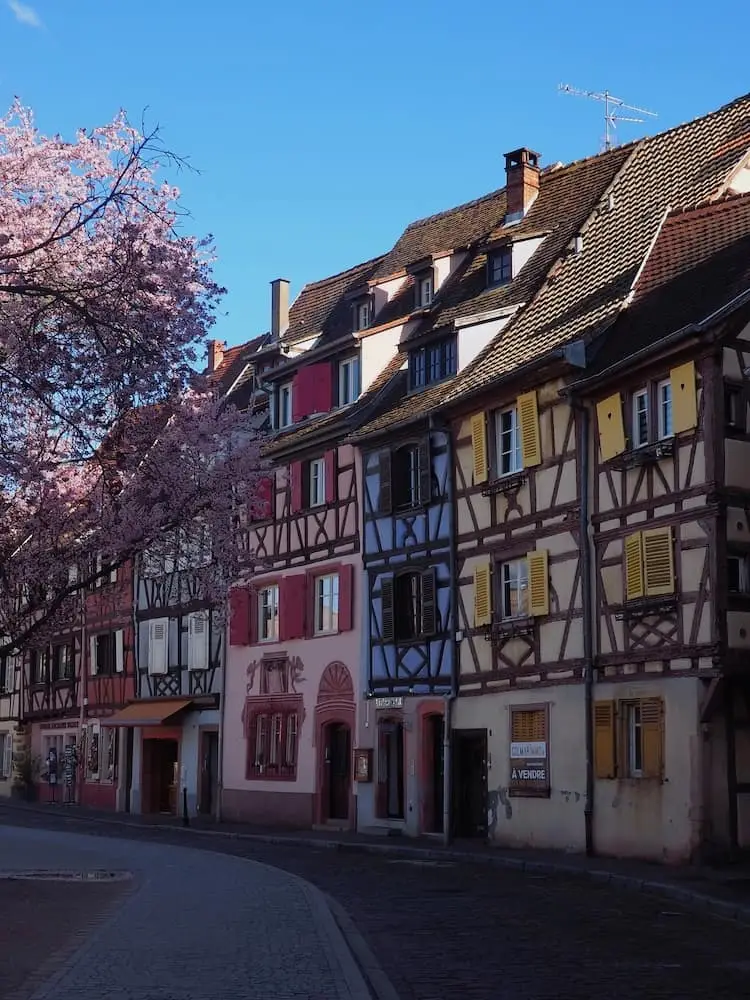 A multicoloured and half-timbered row of houses